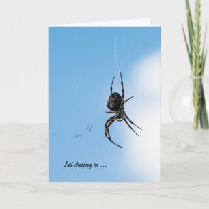 Carte Big Spider pour penser à vous