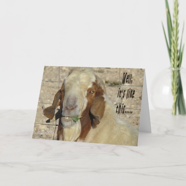 Carte Billy Goat Card- pour toute occasion (Devant)