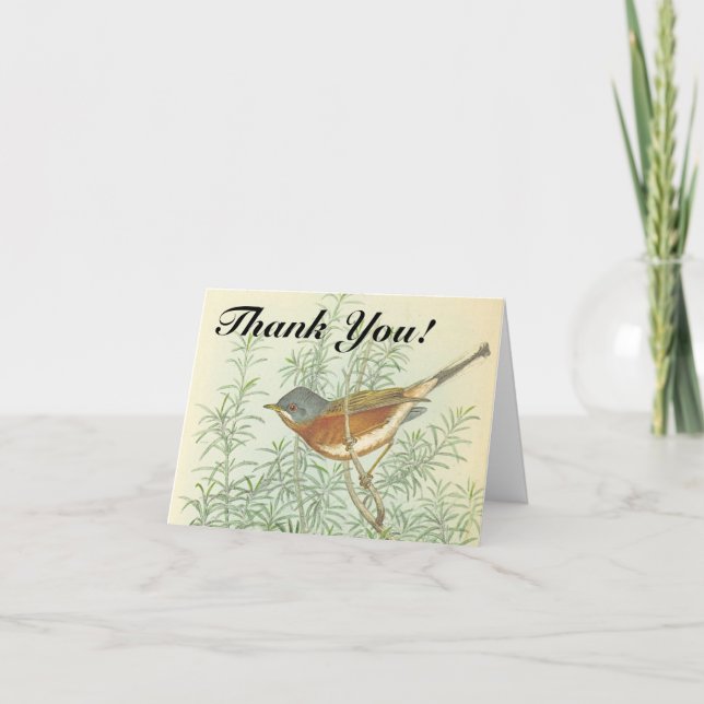 Carte Bird Perché sur une branche "Merci!" (Devant)