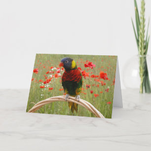 Carte Birdday heureux !