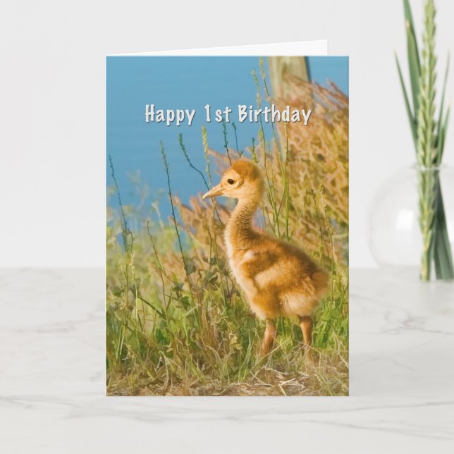 Carte Birthday, 1st, Baby Sandhill Crane (Devant)
