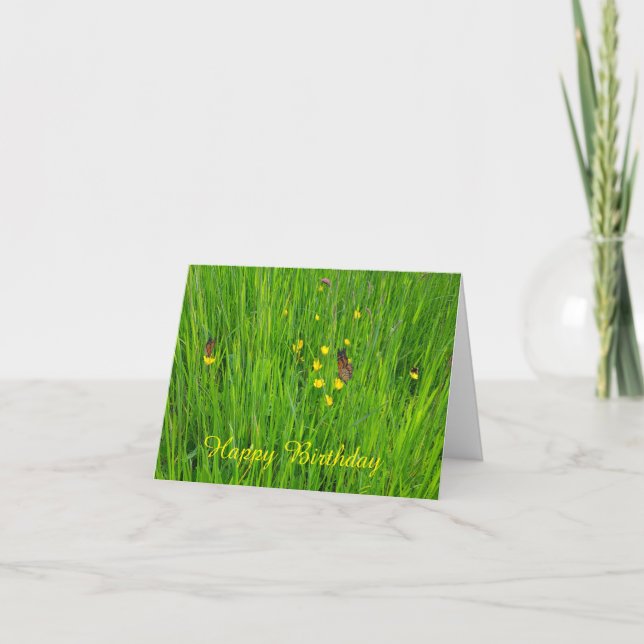 Carte Birthday Card (Devant)