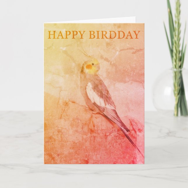 Carte Birthday Card (Devant)