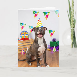 Carte Birthday card
