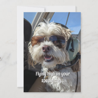 Carte Birthday Dog Pilot Aviator Sunglasses Plane Funny