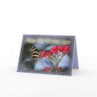 Birthday Wishes for Someone Special