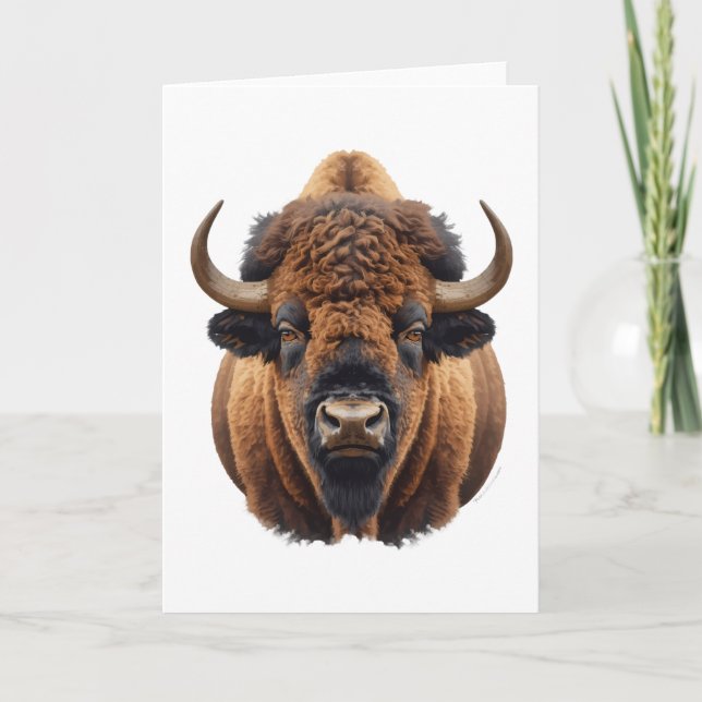 Carte Bison / Buffalo (Devant)