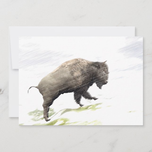 Carte Bison dans la tempête hivernale (Devant)