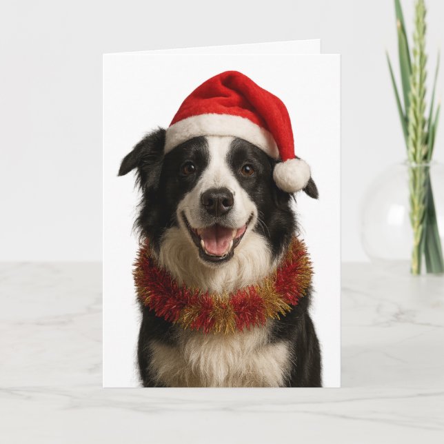 Carte Black and and white Border Collie Christmas card (Devant)