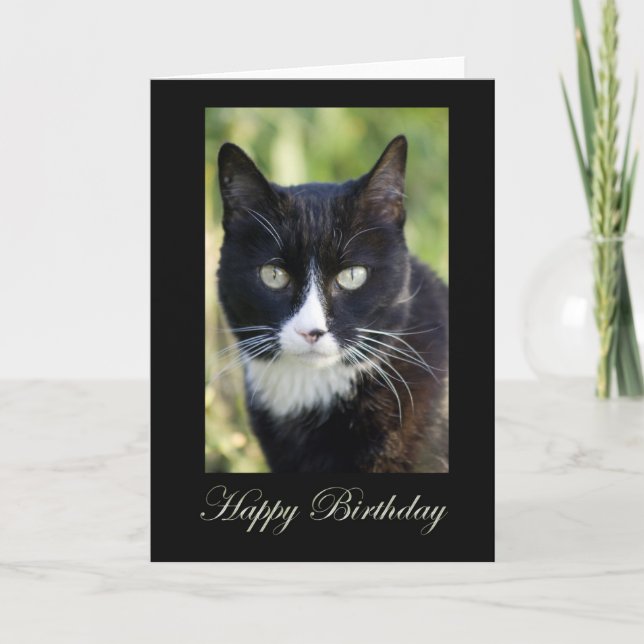 Carte Black and White Cat (Devant)