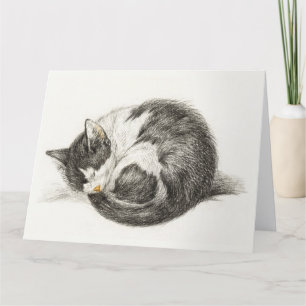 Carte Black and white pencil drawing of a sleepcat