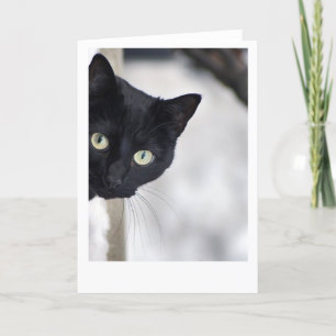 Carte Black Cat