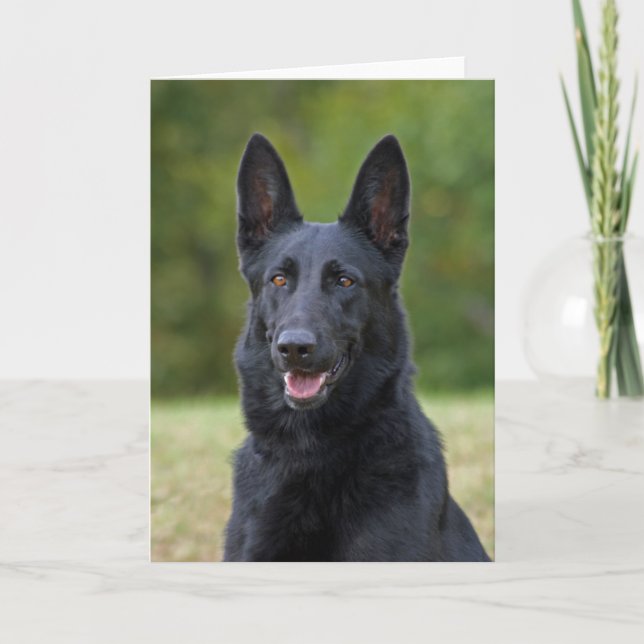 Carte Black German Shepherd (Devant)