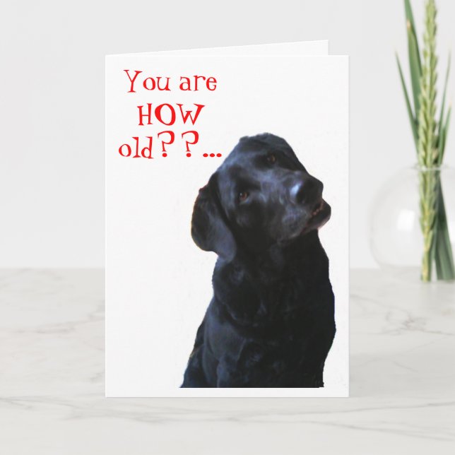 Carte Black Lab Chien Tipping Tête à souhaiter un joyeux (Devant)