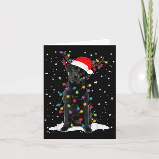 Carte Black Lab Labrador Christmas Tree Light Pajama Dog (Devant)