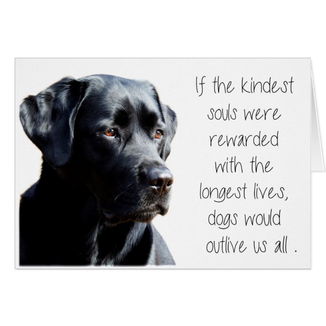 Carte Black Lab Sympathy - Sympathy chien - Perte  (Devant horizontal)