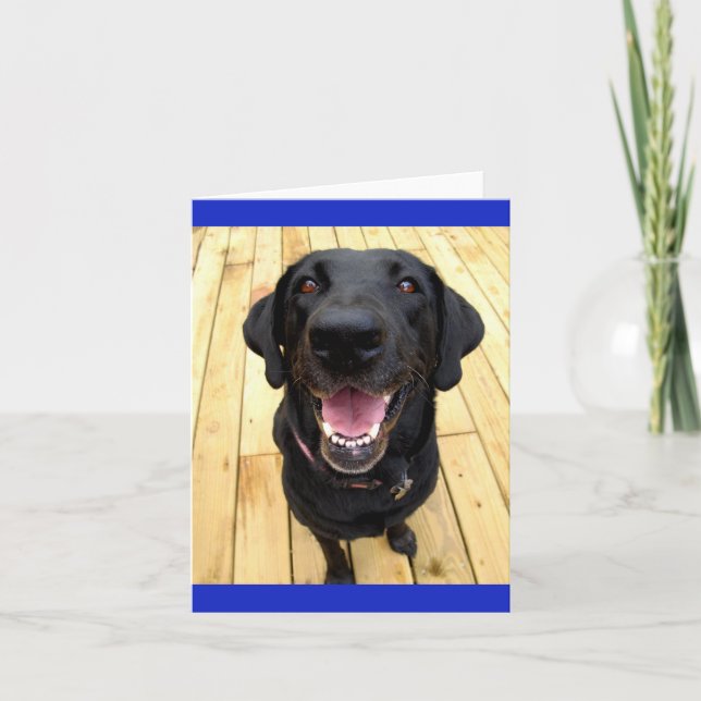 Carte Black Labrador Retriever Chien Chien Chien Blanc C (Devant)