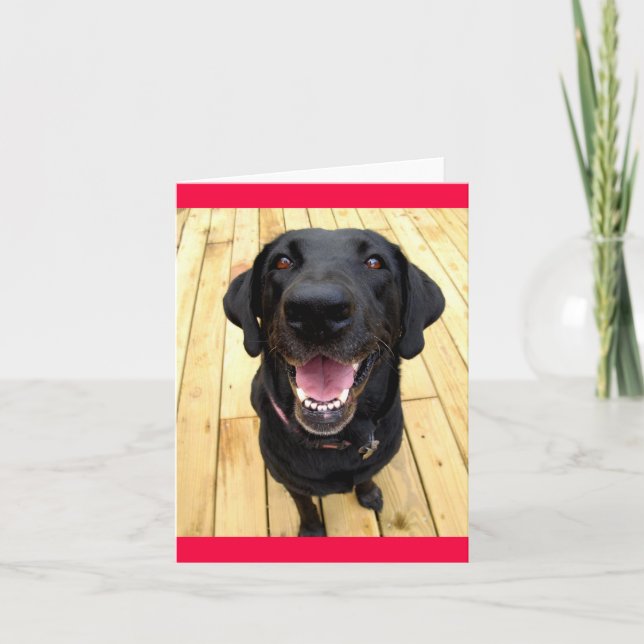 Carte Black Labrador Retriever Chien Chien Chien Blanc C (Devant)