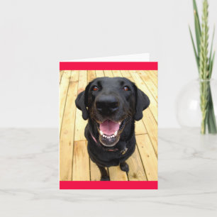 Carte Black Labrador Retriever Chien Chien Chien Blanc C