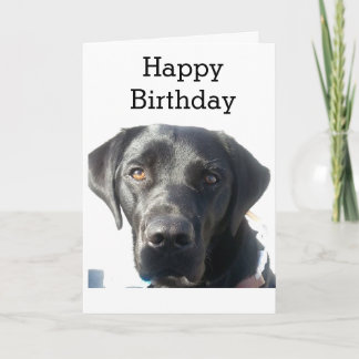 Carte Black Labrador Retriever Joyeux anniversaire