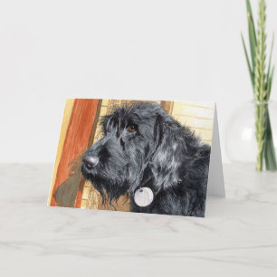 Carte Black Labraoodle #1 Greeting Cards
