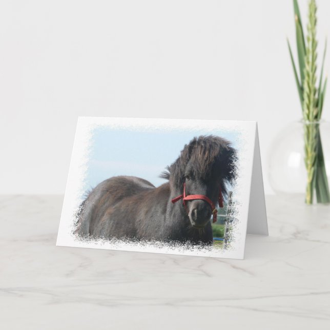 Carte Black Pony Greeting Card (Devant)