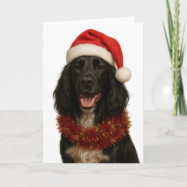 Carte Black Sprocker / Springer Spaniel Christmas card (Devant)