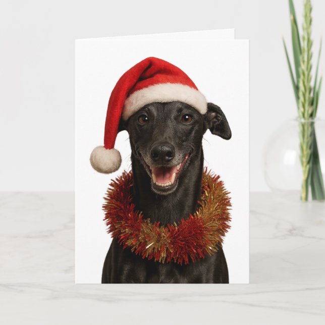 Carte Black whippet in a Santa hat Christmas card (Devant)