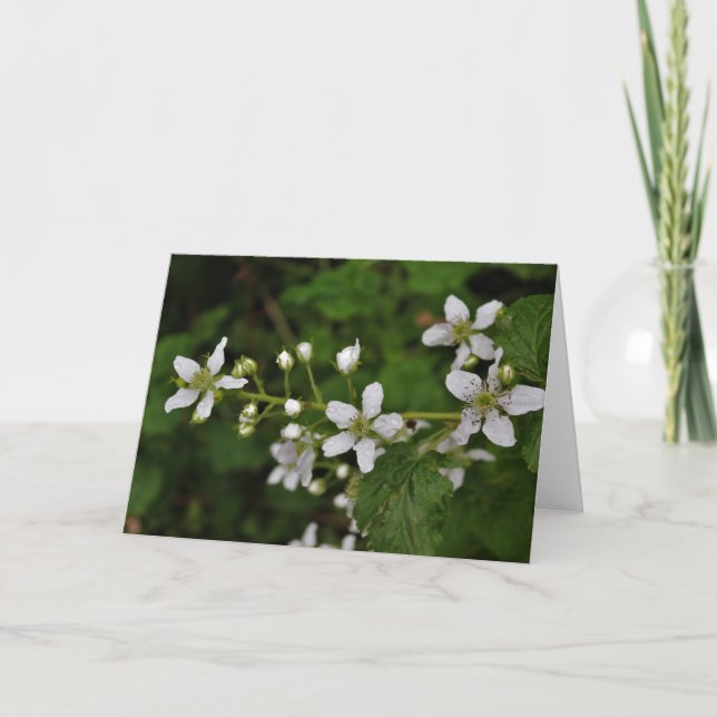 Carte Blackberry Blossoms (Devant)