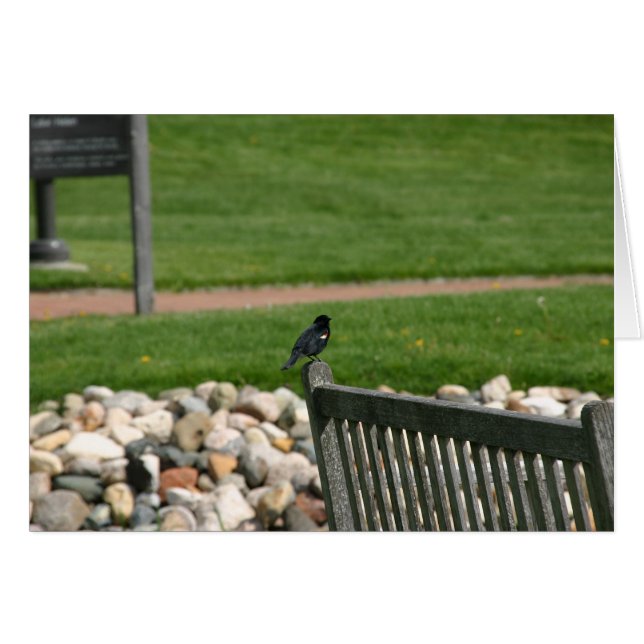 Carte Blackbird Bench (Devant horizontal)