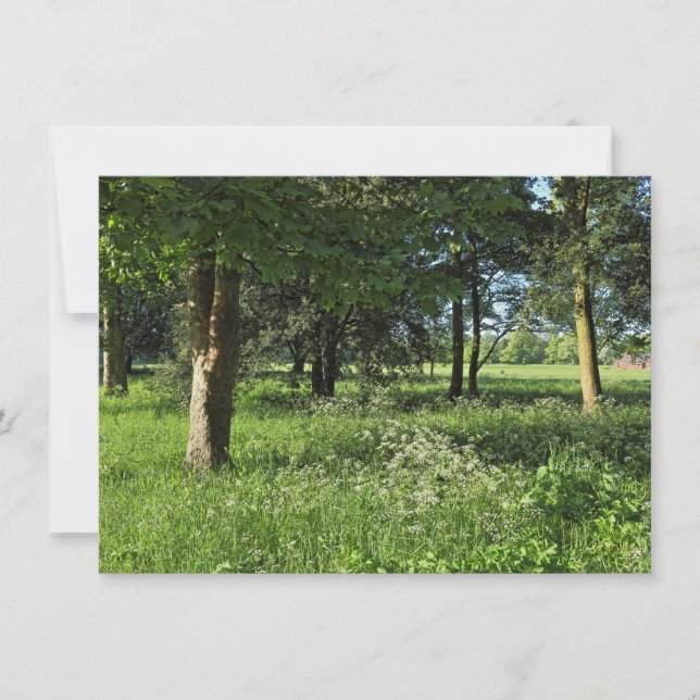 Carte Blackweir Woods, Bute Park, Cardiff Wales (Devant)