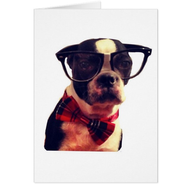 Carte Blair Hipster Boston Terrier (Devant)