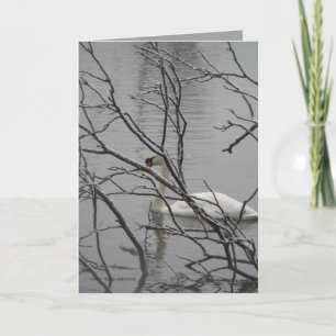 Carte Blanc de neige