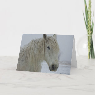 Carte Blanc d'hiver