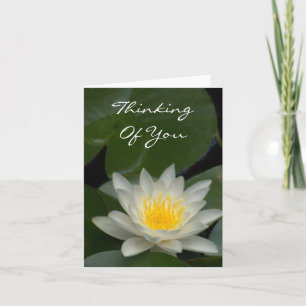 CARTE BLANC LOTUS BLOSSOM