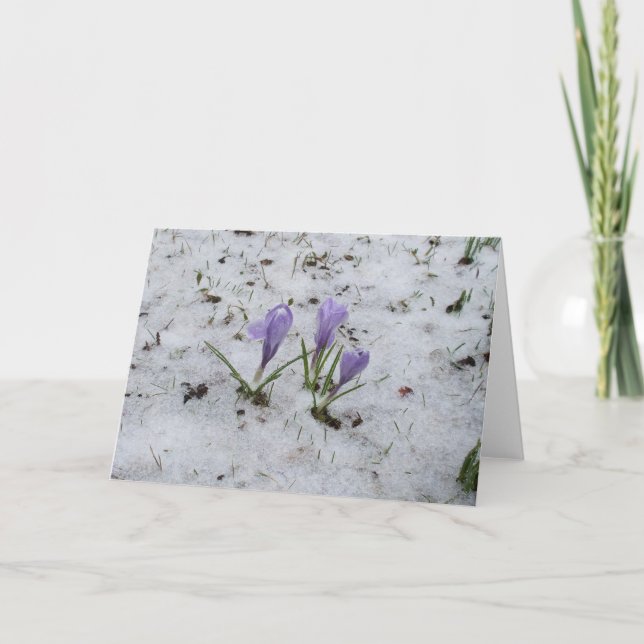 Carte blanche (Devant)