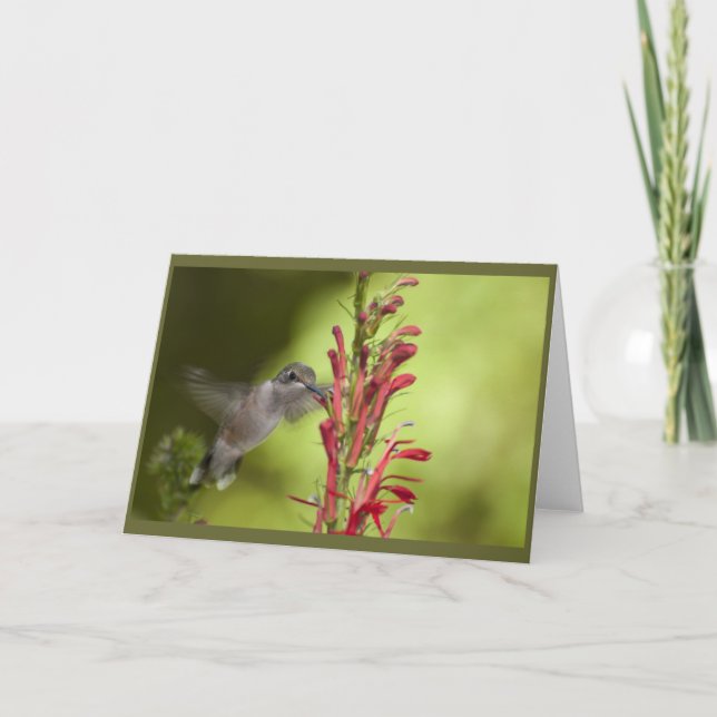 Carte blanche (Devant)