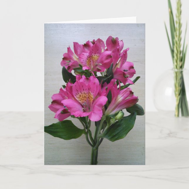 Carte blanche - Alstromeria (Devant)