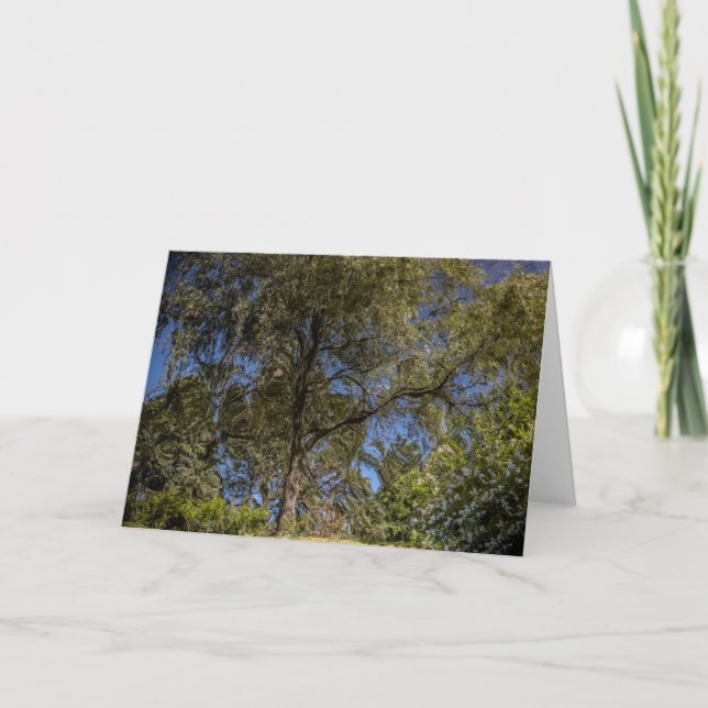 Carte blanche Arbre surréaliste (Devant)