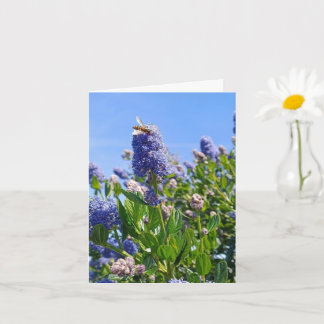 Carte blanche avec fleurs de lilas