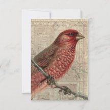 Carte blanche Collage d'oiseaux vintage