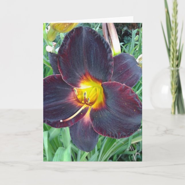 Carte blanche couleur violet foncé (Devant)