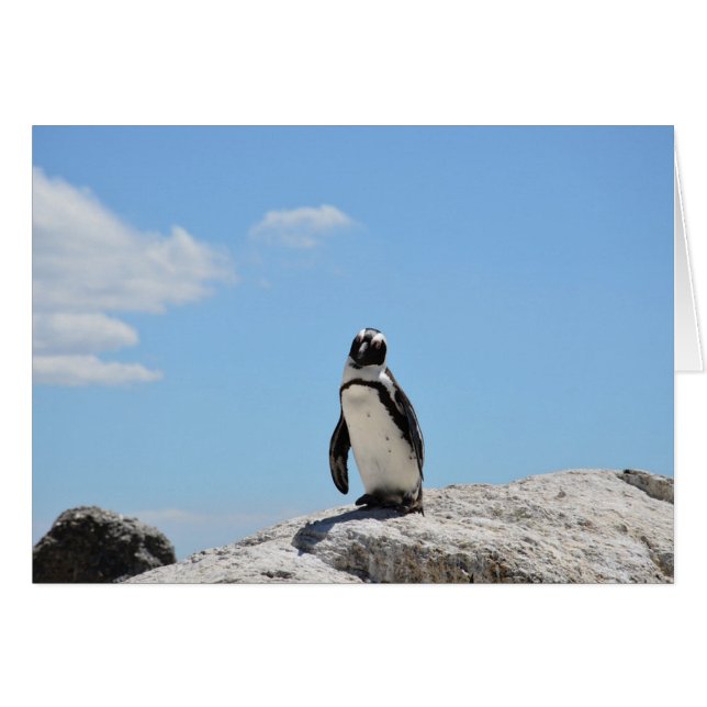 Carte blanche de maintien de pingouin mignon en co (Devant horizontal)