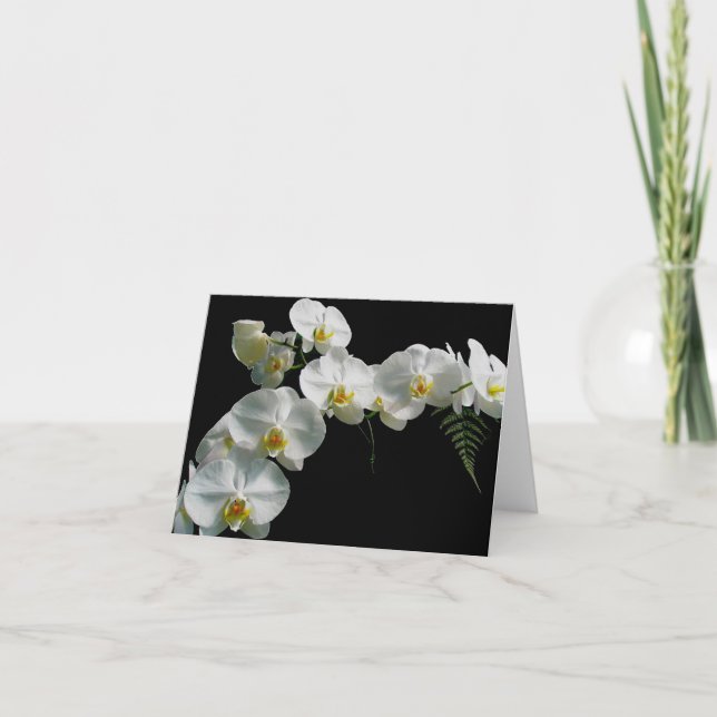 Carte blanche de note orchidée (Devant)