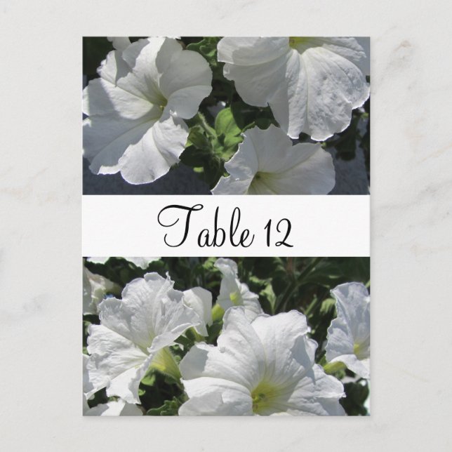 Carte blanche de table Petunias (Devant)