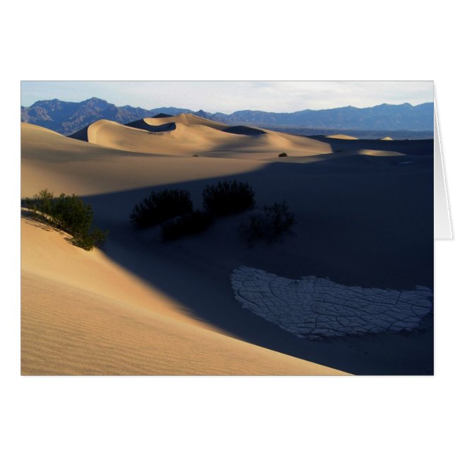 Carte blanche Death Valley Morning Dunes (Devant horizontal)
