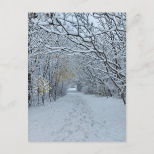 Carte blanche du parc des neiges Winter Wonderland