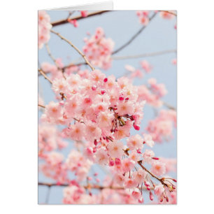 Carte blanche en fleurs printanières