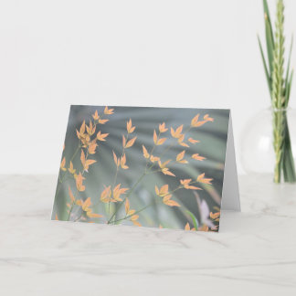 carte blanche feuille gracieuse