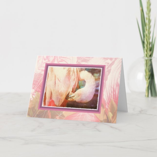 Carte blanche Flamant rose (Devant)